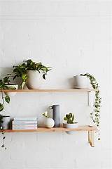 Photos of Plants On Wall Shelves