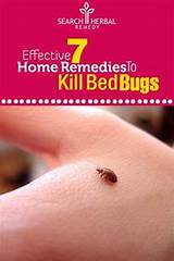 Photos of Kill Bed Bugs At Home
