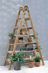 Wood Ladder Shelves Photos