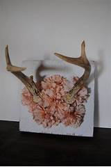 Pictures of Deer Antlers With Flowers