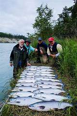 Photos of Salmon Fishing In Kenai Alaska