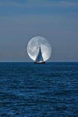Sailing Boat Dream Meaning Photos