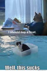 I Should Buy Boat Cat Pictures