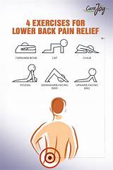 Exercises Easy On Lower Back Photos