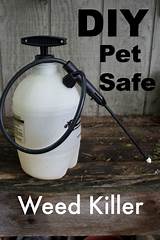 Pictures of Weed Control Pet Safe