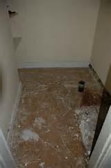 Images of Difference Between Water Damage And Termite Damage