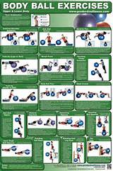 Pictures of Fitness Exercises Upper Body