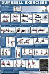 Full Body Workout With Dumbbells Images