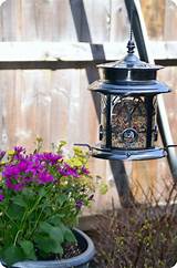 Photos of Solar Lantern Bird Feeder