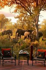Africa Safari Adventure Park Pictures
