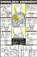 Muscle Workout Chart Pdf Photos