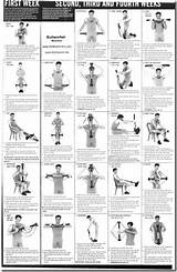 Muscle Workout Chart Pdf Pictures