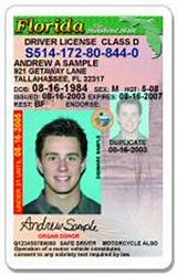 Images of Florida Drivers License Learners Permit Requirements