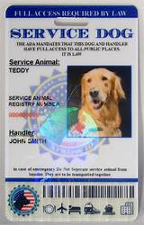 Photos of Fake Service Dog Id