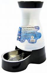 Petsafe Healthy Pet Water Station Large Pictures