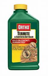 Termite Killer Borax Pictures