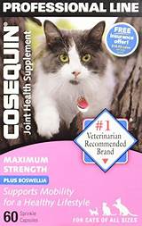 Pictures of Cosequin For Cats Side Effects