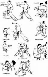 Martial Arts Moves Photos