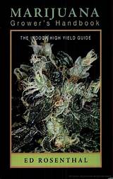 Images of Ed Rosenthal Marijuana