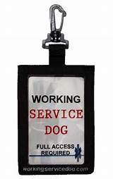 Photos of Service Dog Products