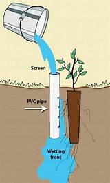 Images of Pvc Pipe Tree Watering