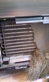 Cleaning Refrigerator Condenser Coils Pictures