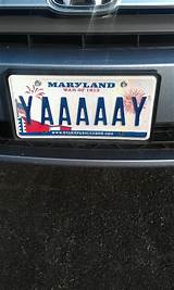 Cool License Plate Words Photos
