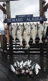 Seward Alaska Fishing Charters Reviews Pictures