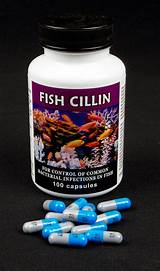Photos of Fish Oil For Humans