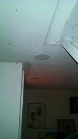 Photos of Termite Tunnels Hanging From Ceiling