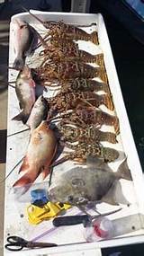 Deep Sea Fishing Charter Tampa Pictures
