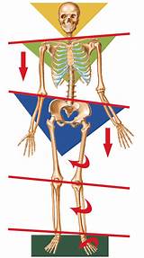 Images of Pelvic Balance Exercises