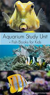 Photos of Fish Photo Books