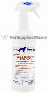 Pictures of Adams Flea And Tick Spray Side Effects