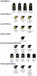 Military Rank Chart In Order Photos