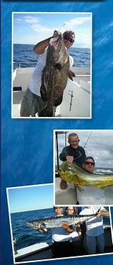 Rose Marina Fishing Charters Pictures