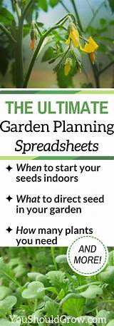 When To Start Planting Seeds For Your Garden Pictures