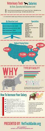 Marine Veterinarian Salary In California Images