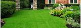 Images of Lawn Care Images