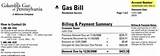 Gas Bill New Jersey Pictures