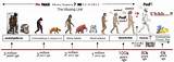 Timeline Of The Theory Of Evolution Pictures