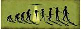 Theory Of Evolution Proven Wrong