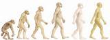 Theory Of Evolution Unanswered Questions