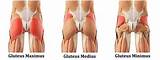Gluteus Maximus Muscle Exercise Images