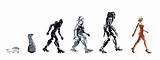 Theory Of Evolution Man Images