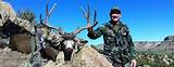 New Mexico Mule Deer Outfitters Pictures