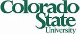 Images of Colorado State Mba Online