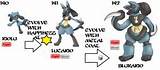 At What Level Does Riolu Evolve Images