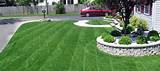Trugreen Lawn Treatment Images