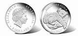 Images of Australian Koala Coin Silver